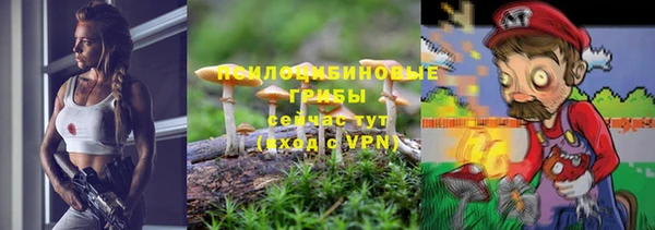 соль курить ск Белокуриха