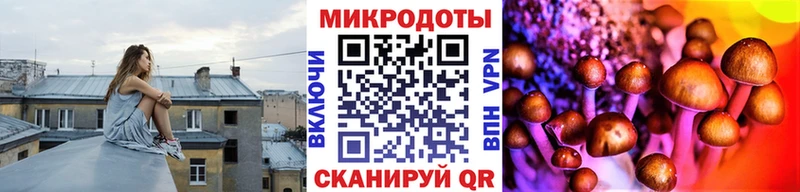 цена   Новосибирск  Галлюциногенные грибы Psilocybe 